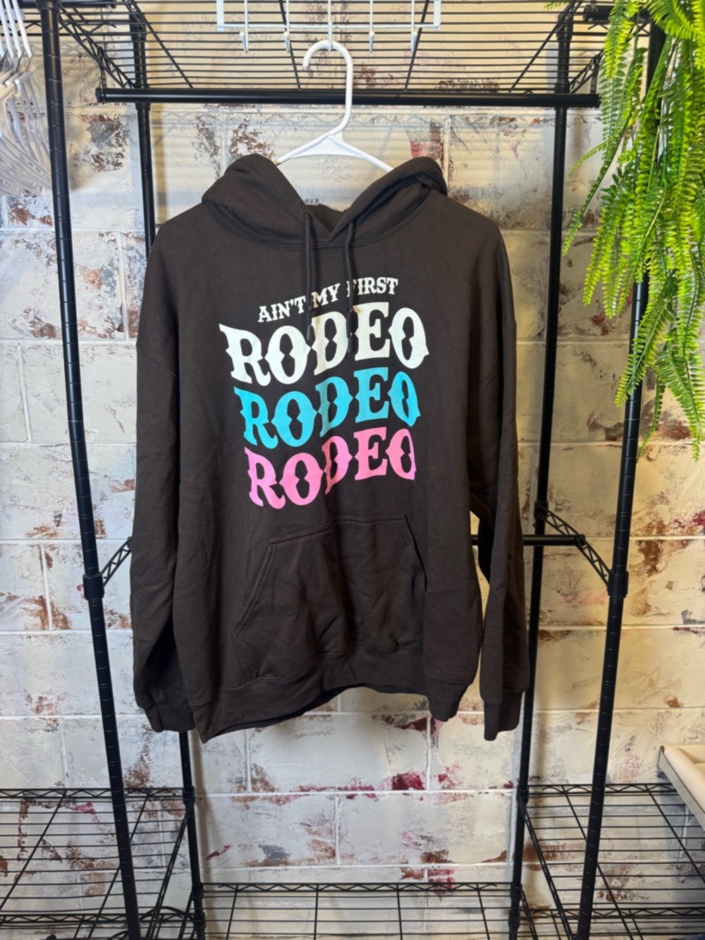Ain't My First Rodeo Graphic Hoodie - Brown with White, Teal & Pink Print